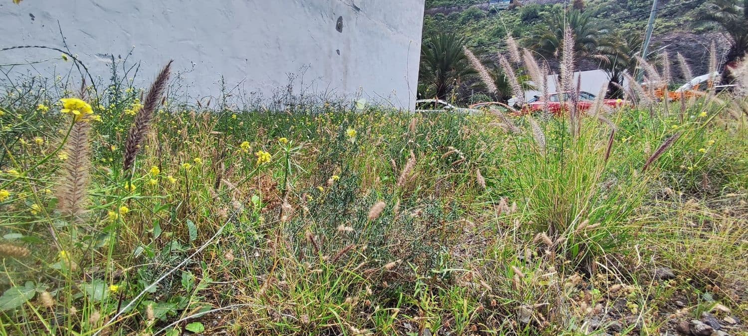 Terreno Não Urbanizado para venda em Las Palmas de Gran Canaria - 80 000 € (Ref: 9747426)