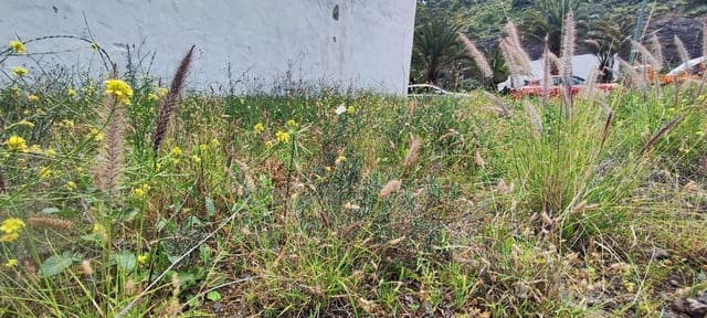 Terreno Não Urbanizado para venda em San Cristóbal - Playa de la Laja, Las Palmas de Gran Canaria - 80 000 € (Ref: 9747426)
