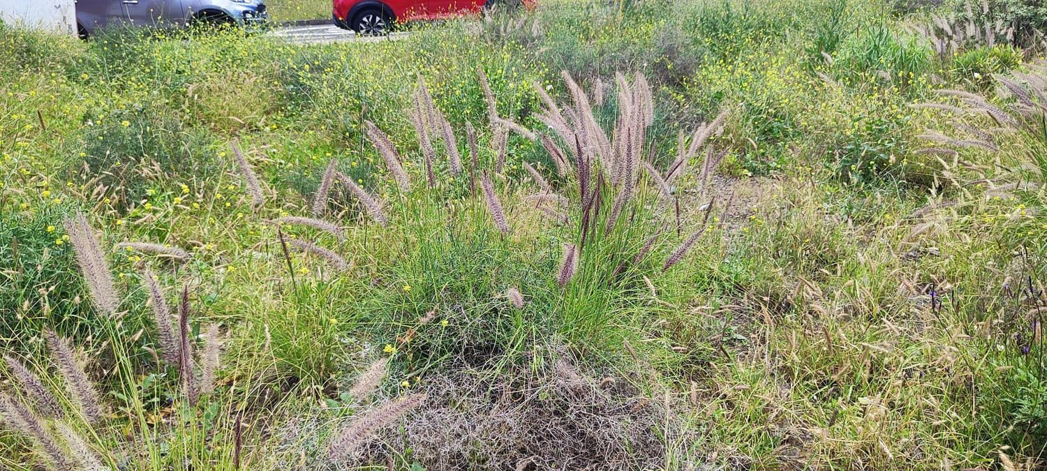 Terreno Não Urbanizado para venda em Las Palmas de Gran Canaria - 80 000 € (Ref: 9747426)