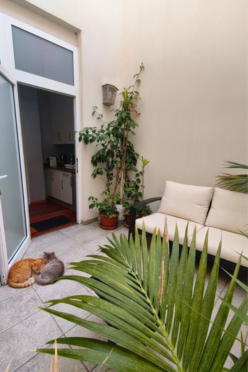 3 Zimmer Apartment zu verkaufen in Las Palmas de Gran Canaria mit Garage - 600.000 € (Ref: 9810875)