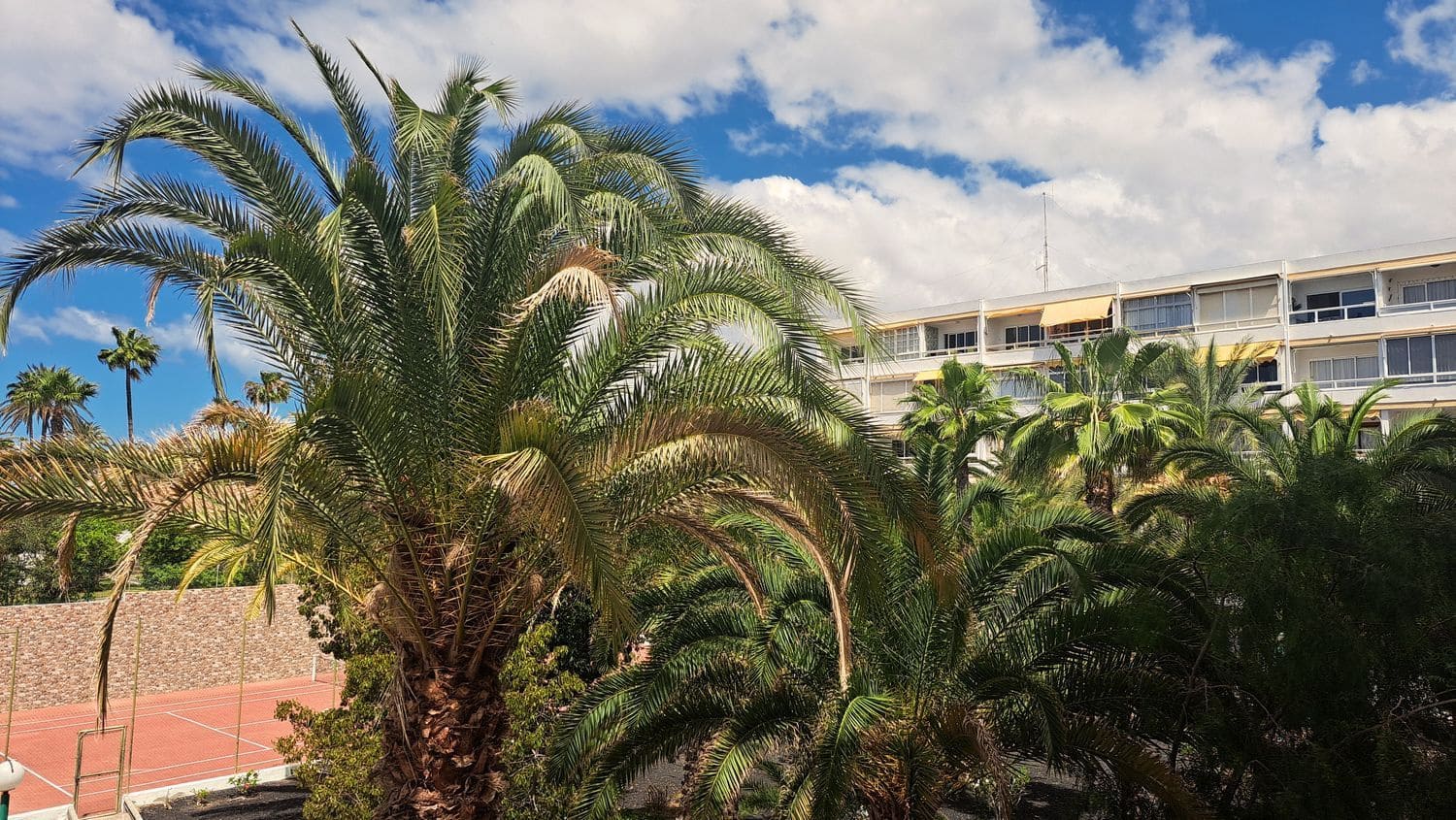 2 bedroom Apartment for sale in Playa del Ingles with pool garage - € 470,000 (Ref: 9854809)