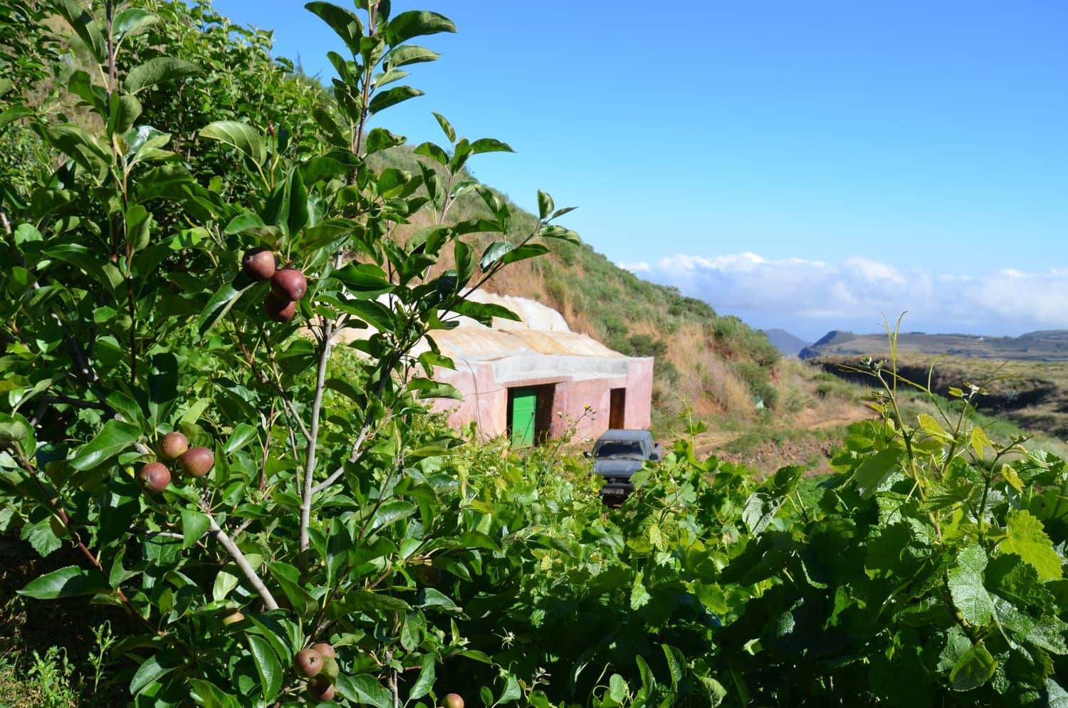 5 bedroom Finca/Country House for sale in Galdar with garage - € 195,000 (Ref: 9935448)