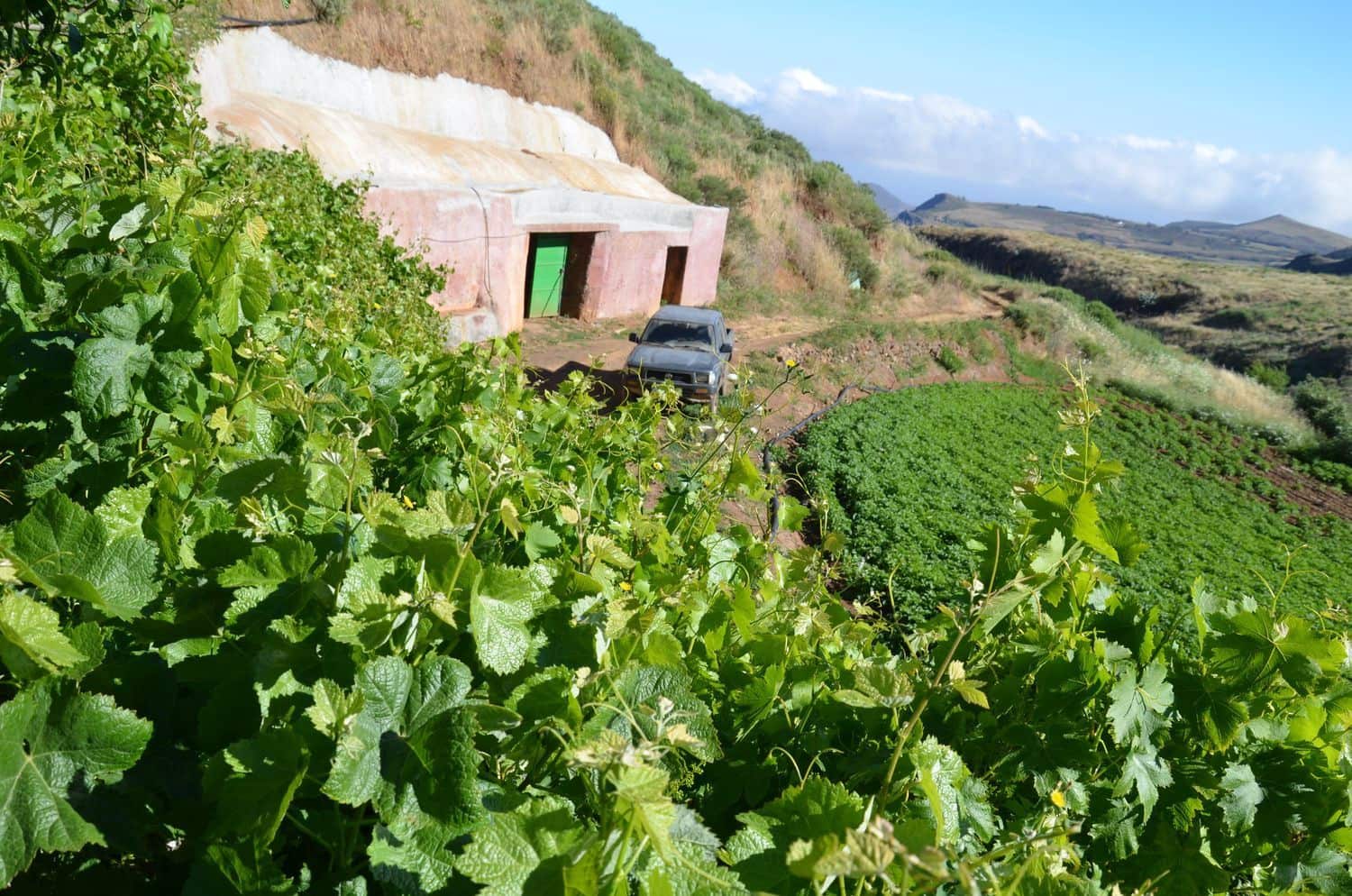 5 bedroom Finca/Country House for sale in Galdar with garage - € 195,000 (Ref: 9935448)