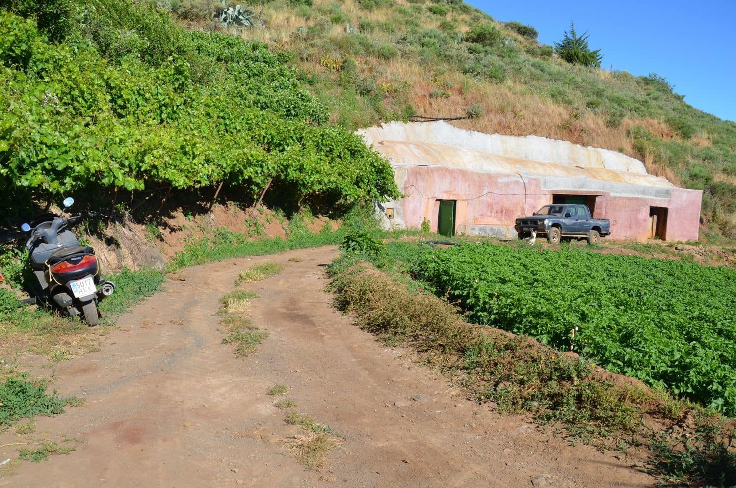 5 bedroom Finca/Country House for sale in Galdar with garage - € 195,000 (Ref: 9935448)