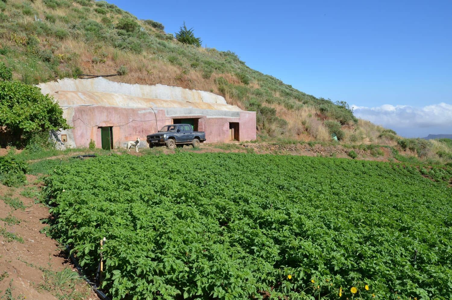 5 bedroom Finca/Country House for sale in Galdar with garage - € 195,000 (Ref: 9935448)