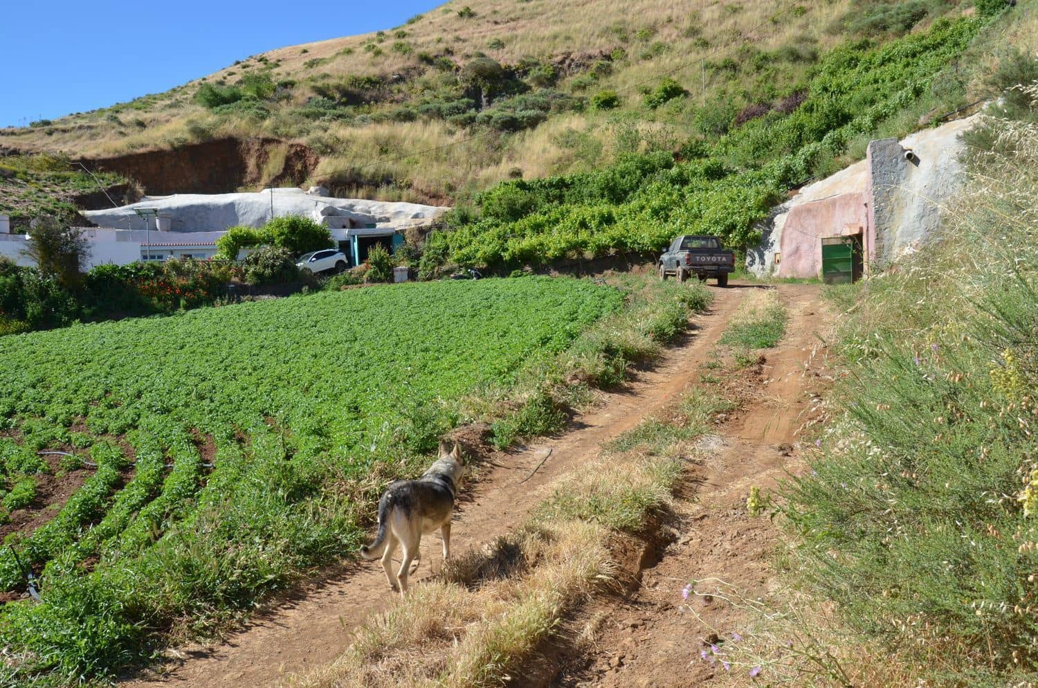 5 bedroom Finca/Country House for sale in Galdar with garage - € 195,000 (Ref: 9935448)