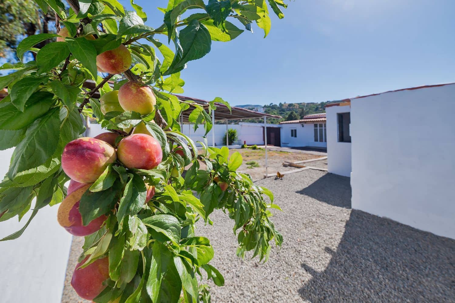 3 Zimmer Haus zu verkaufen in Vega de San Mateo mit Garage - 218.000 € (Ref: 9950922)