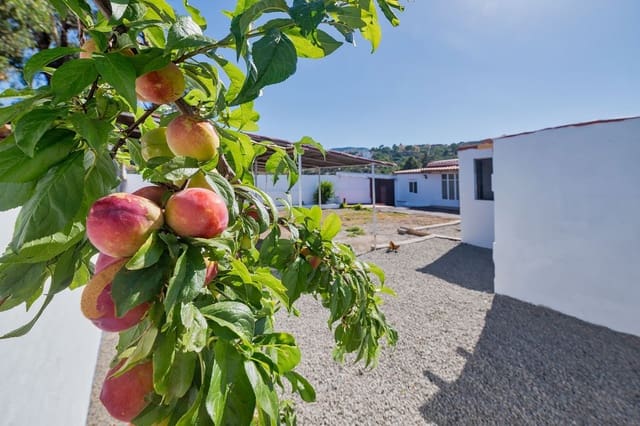 3 Zimmer Haus zu verkaufen in Vega de San Mateo mit Garage - 218.000 € (Ref: 9950922)