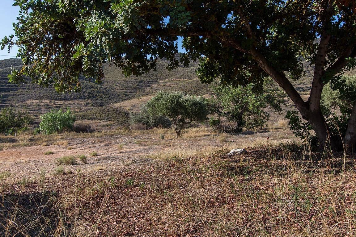 4 soverom Finca/Herregård til salgs i Mazarron - € 198 000 (Ref: 7868863)