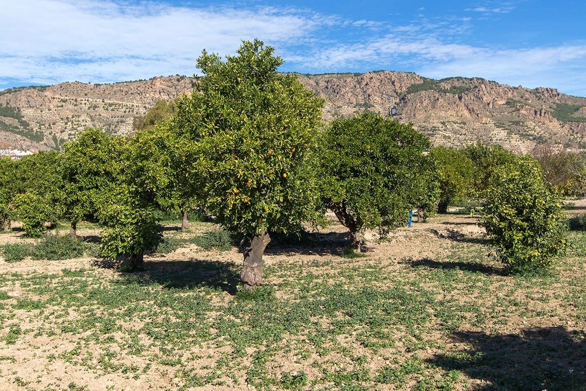 4 bedroom Villa for sale in Alhama de Murcia with garage - € 350,000 (Ref: 9502596)