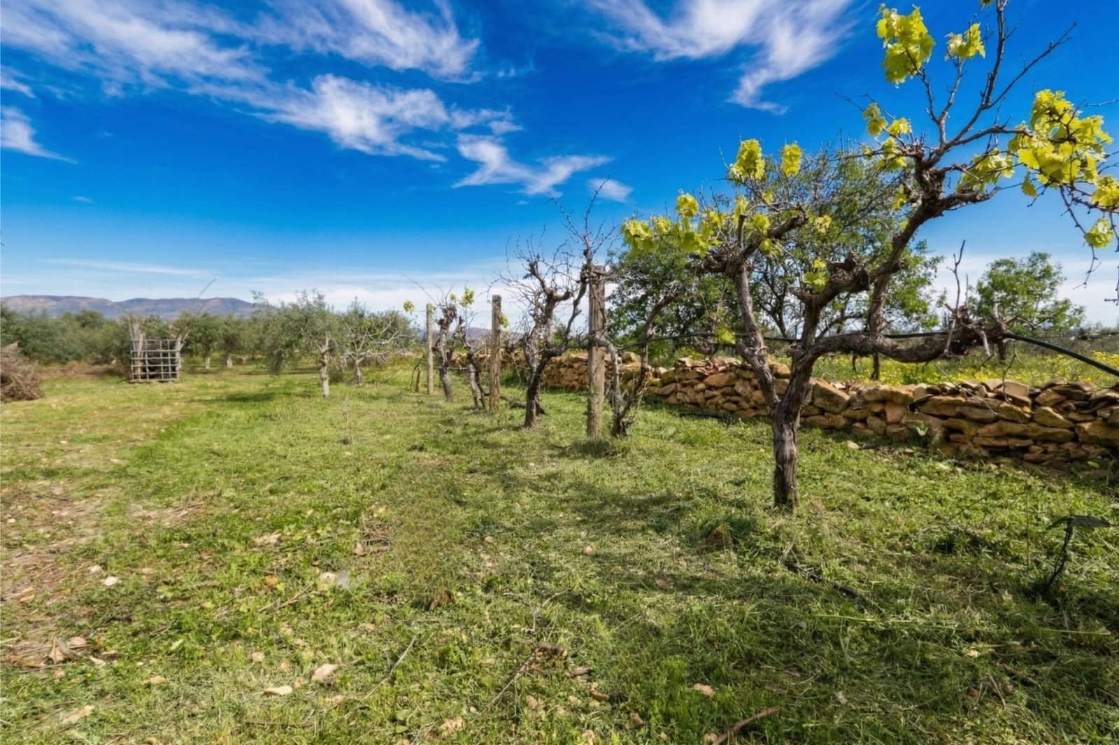 2 bedroom Finca/Country House for sale in Fuente Alamo de Murcia with garage - € 168,500 (Ref: 9730273)