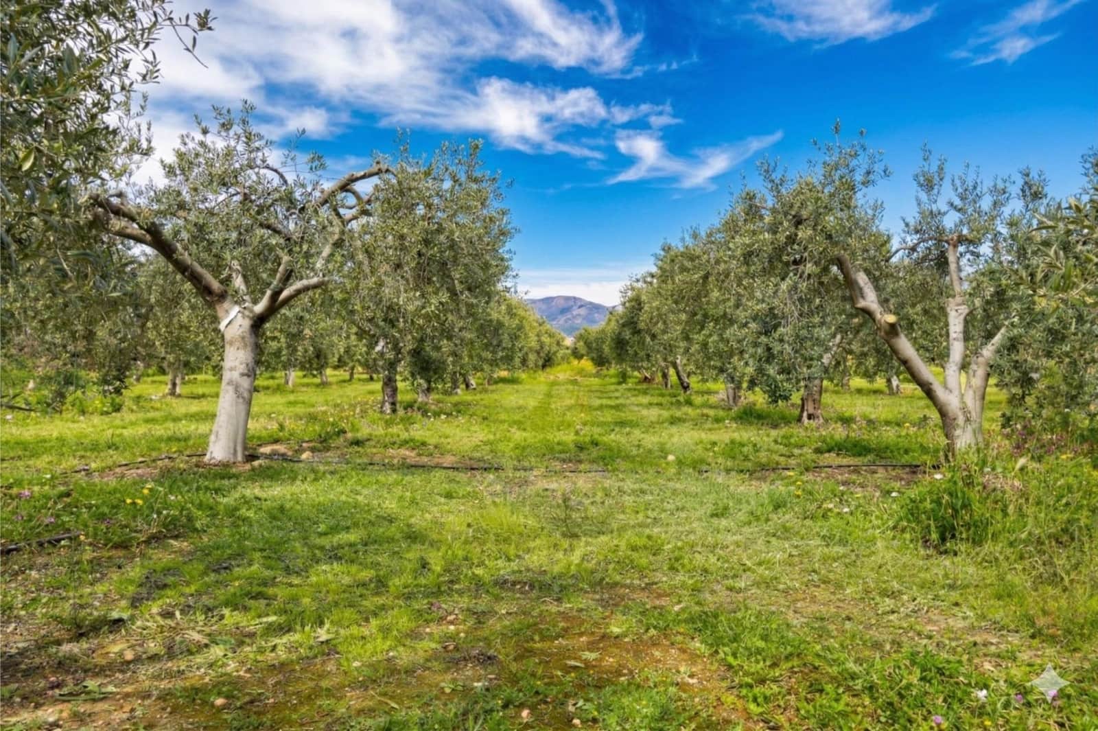 2 bedroom Finca/Country House for sale in Fuente Alamo de Murcia with garage - € 168,500 (Ref: 9730273)