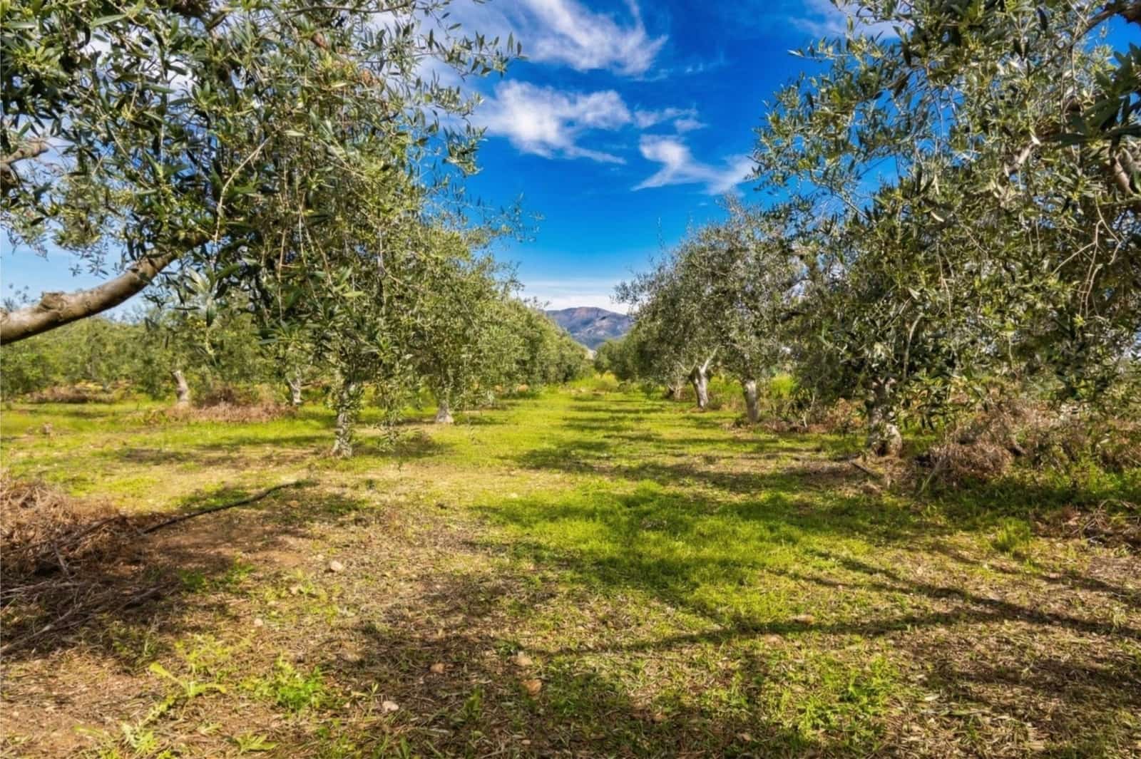 2 bedroom Finca/Country House for sale in Fuente Alamo de Murcia with garage - € 168,500 (Ref: 9730273)