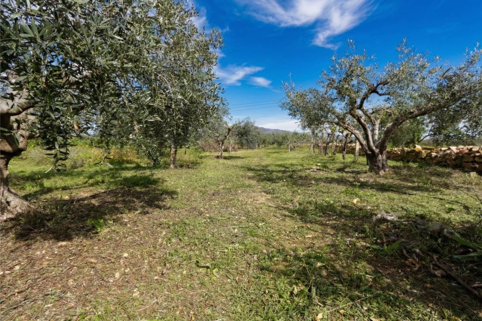 2 bedroom Finca/Country House for sale in Fuente Alamo de Murcia with garage - € 168,500 (Ref: 9730273)