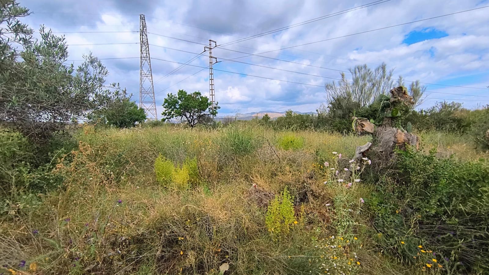 2 bedroom Finca/Country House for sale in Turre - € 95,000 (Ref: 9547545)