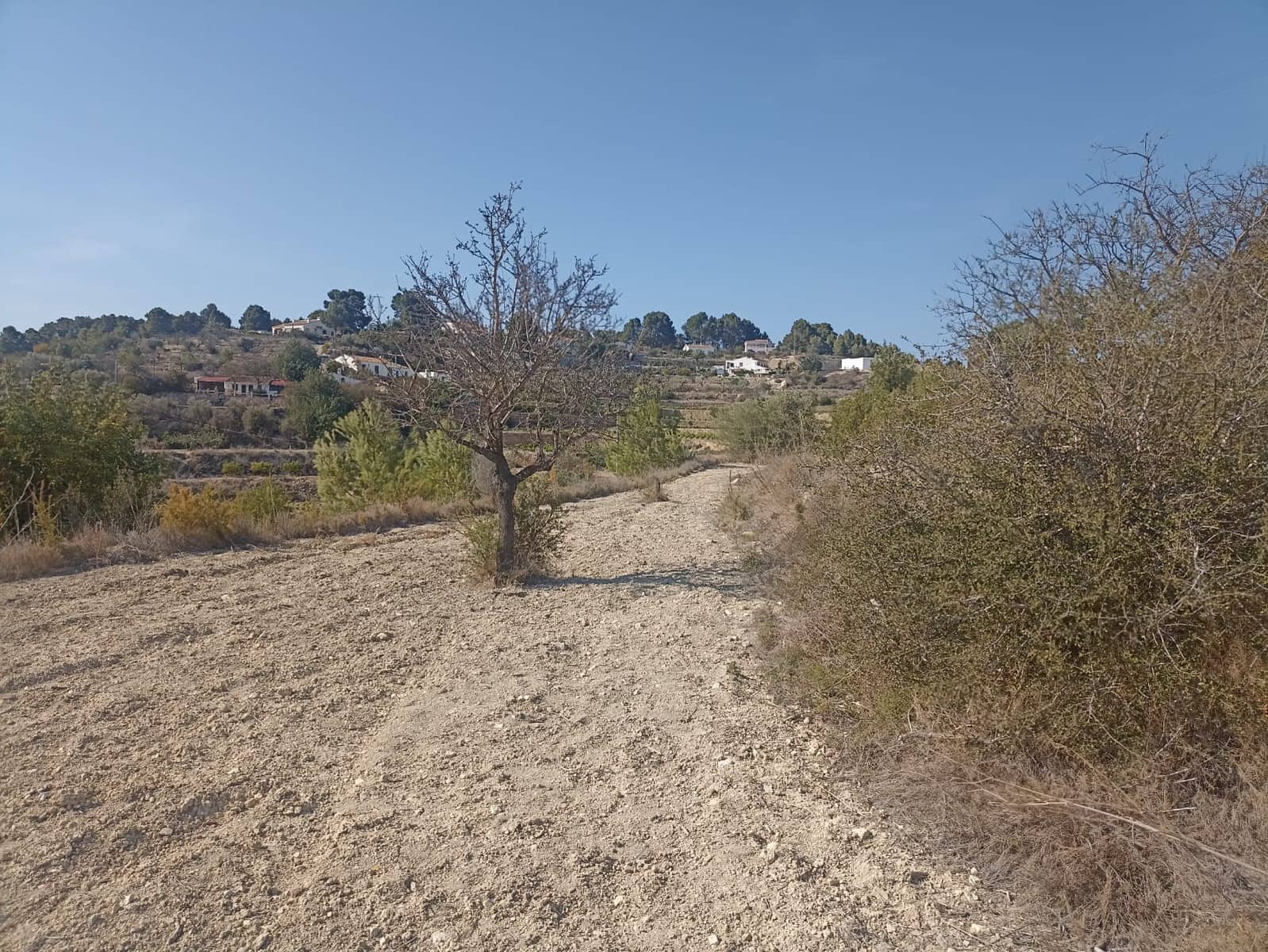 Byggegrund til salg i Benissa - € 199.000 (Ref: 8343660)