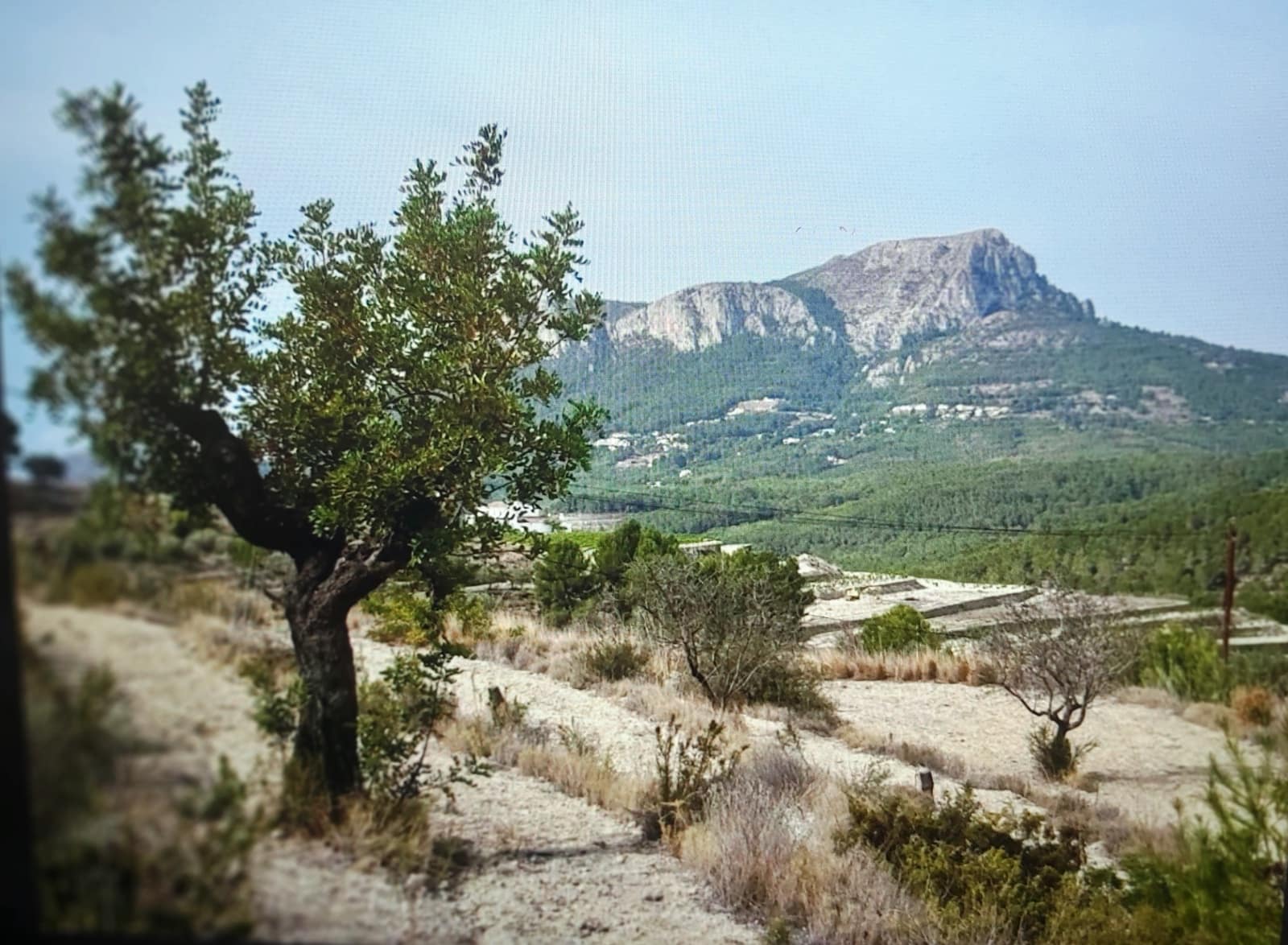 Byggegrund til salg i Benissa - € 199.000 (Ref: 8343660)