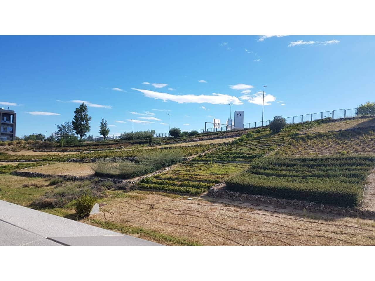 Office for rent in Las Rozas de Madrid with garage - € 7,588 (Ref: 4053509)