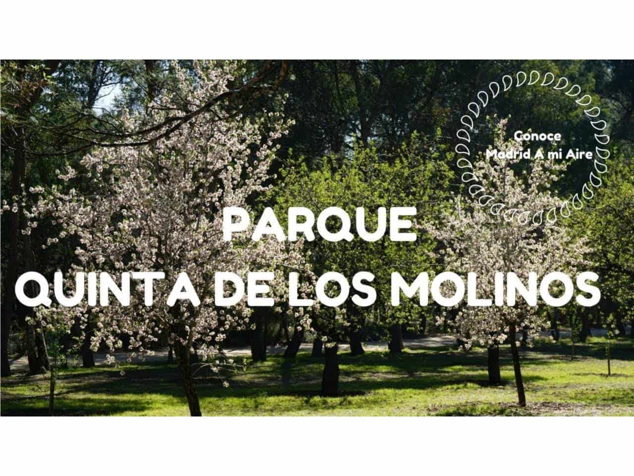 Kontor til leje i Madrid by - € 7.800 (Ref: 5657096)