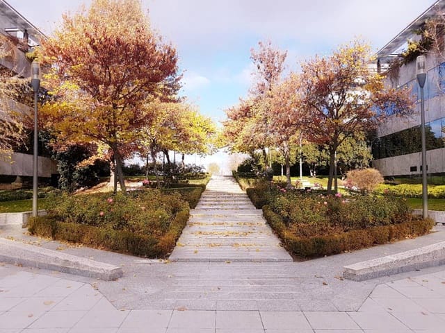 Biuro do wynajęcia w Pozuelo de Alarcón z garażem - 22 610 € (Ref: 5885262)