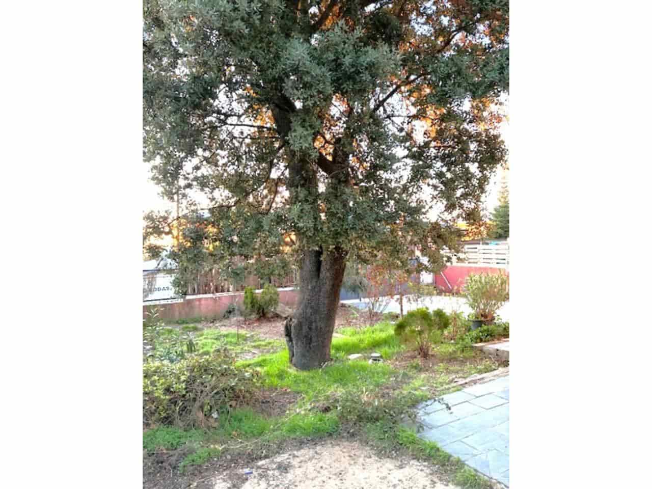 Chalet de 3 habitaciones en Los Angeles de San Rafael en alquiler con piscina garaje - 1.300 € (Ref: 7848781)