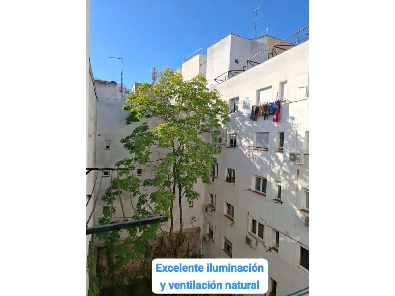 1 bedroom Apartment for rent in Madrid city - € 1,050 (Ref: 8626268)