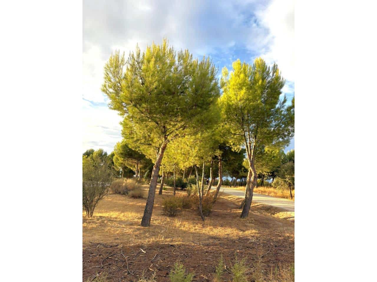 4 sypialnia Mieszkanie do wynajęcia w Miasto Madryt z basenem garażem - 2 490 € (Ref: 9346875)