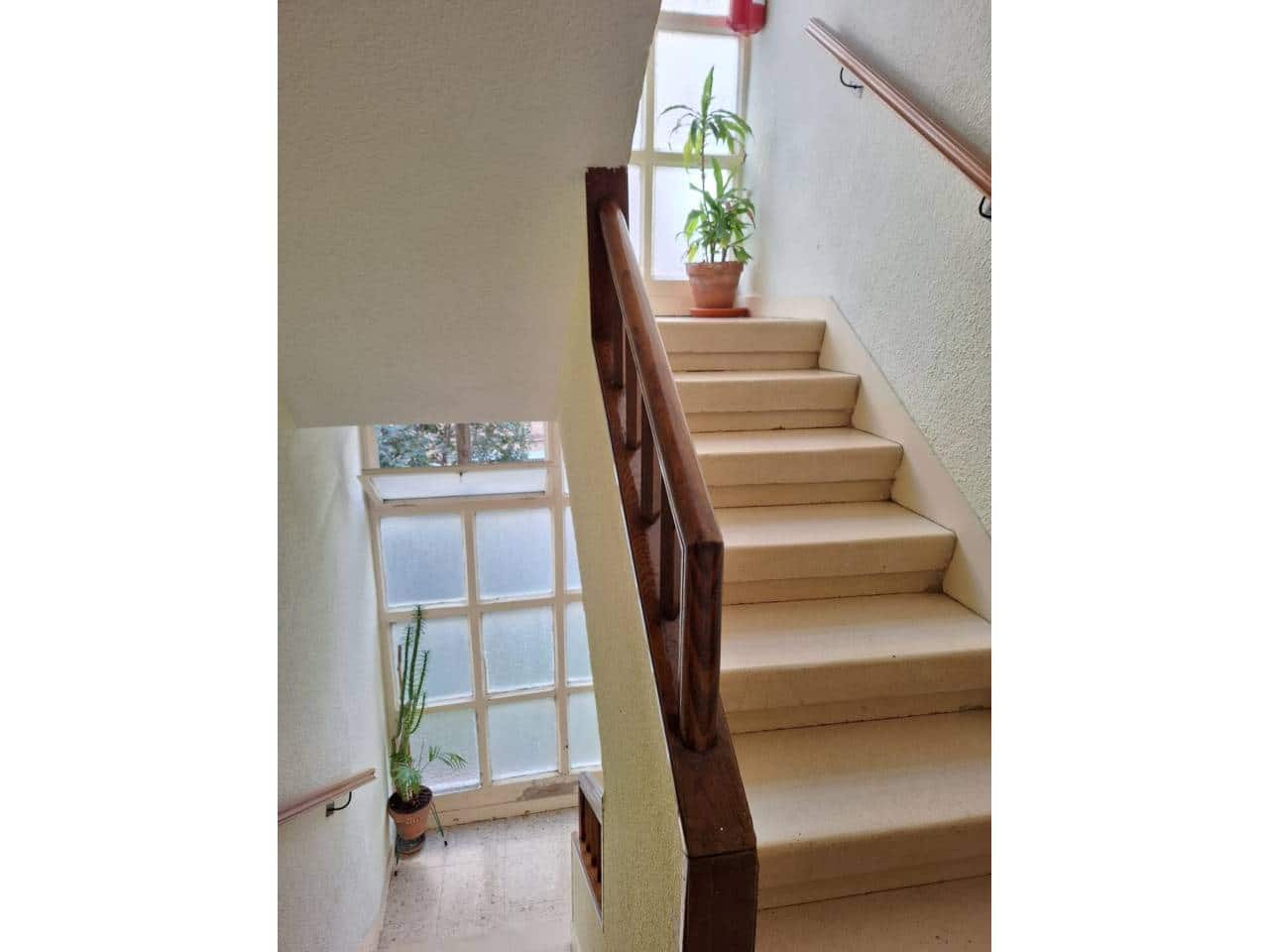 2 bedroom Flat for rent in Madrid city - € 1,100 (Ref: 9488059)