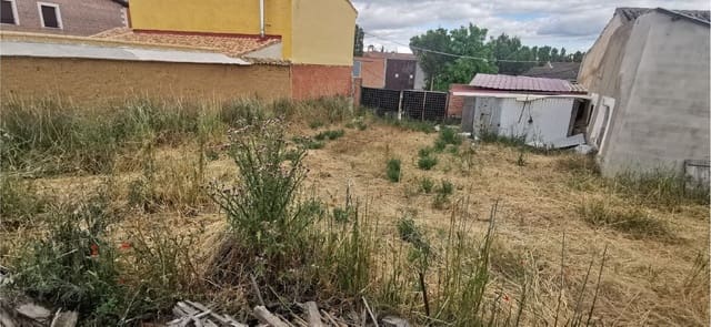 Ruin til salg i Becerril de Campos - € 36.000 (Ref: 3850902)