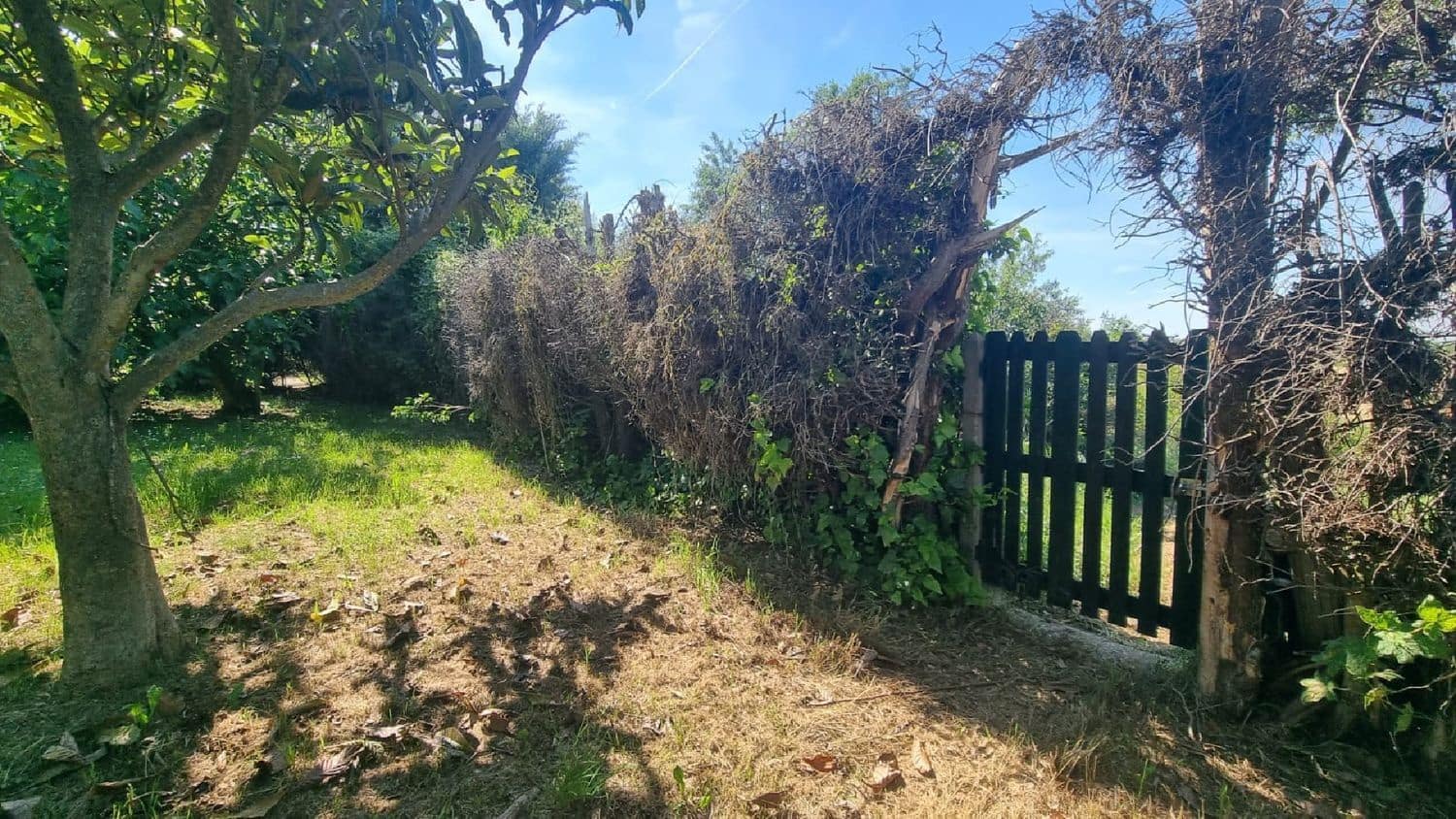 Villa til salgs i Palencia by - € 250 000 (Ref: 7859490)