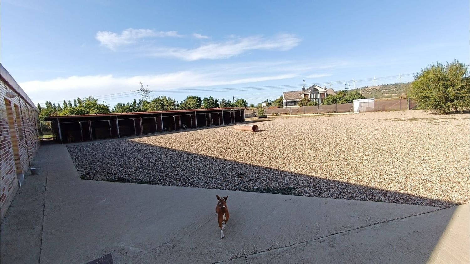 4 soveværelse Virksomhed til salg i Palencia by - € 415.000 (Ref: 7859526)