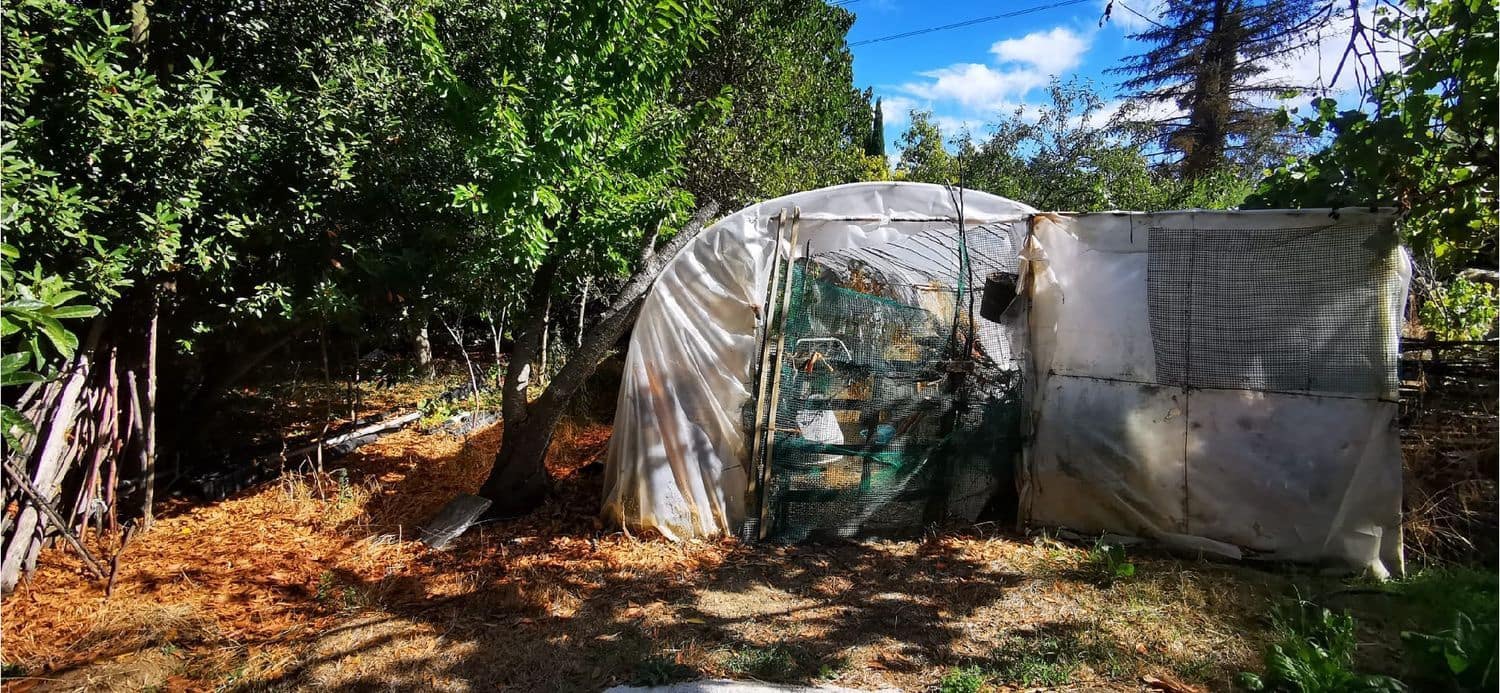 3 bedroom Bungalow for sale in Grijota - € 330,000 (Ref: 9115828)