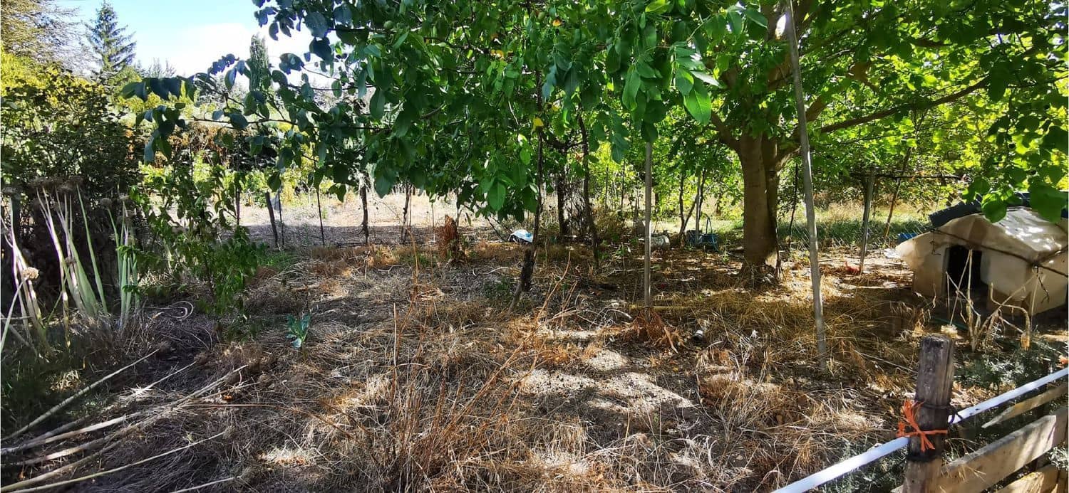 3 bedroom Bungalow for sale in Grijota - € 330,000 (Ref: 9115828)