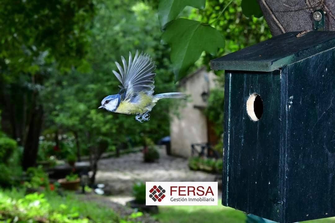 3 chambre Villa/Maison à vendre à Benamahoma avec piscine - 750 000 € (Ref: 9829473)