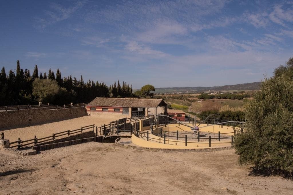 4 camera da letto Finca/Casa di Campagna in vendita in Arcos de la Frontera con piscina - 1.000.000 € (Rif: 9829515)