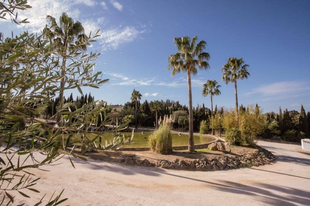 4 camera da letto Finca/Casa di Campagna in vendita in Arcos de la Frontera con piscina - 1.000.000 € (Rif: 9829515)