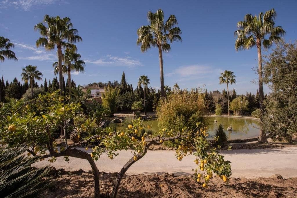 4 camera da letto Finca/Casa di Campagna in vendita in Arcos de la Frontera con piscina - 1.000.000 € (Rif: 9829515)