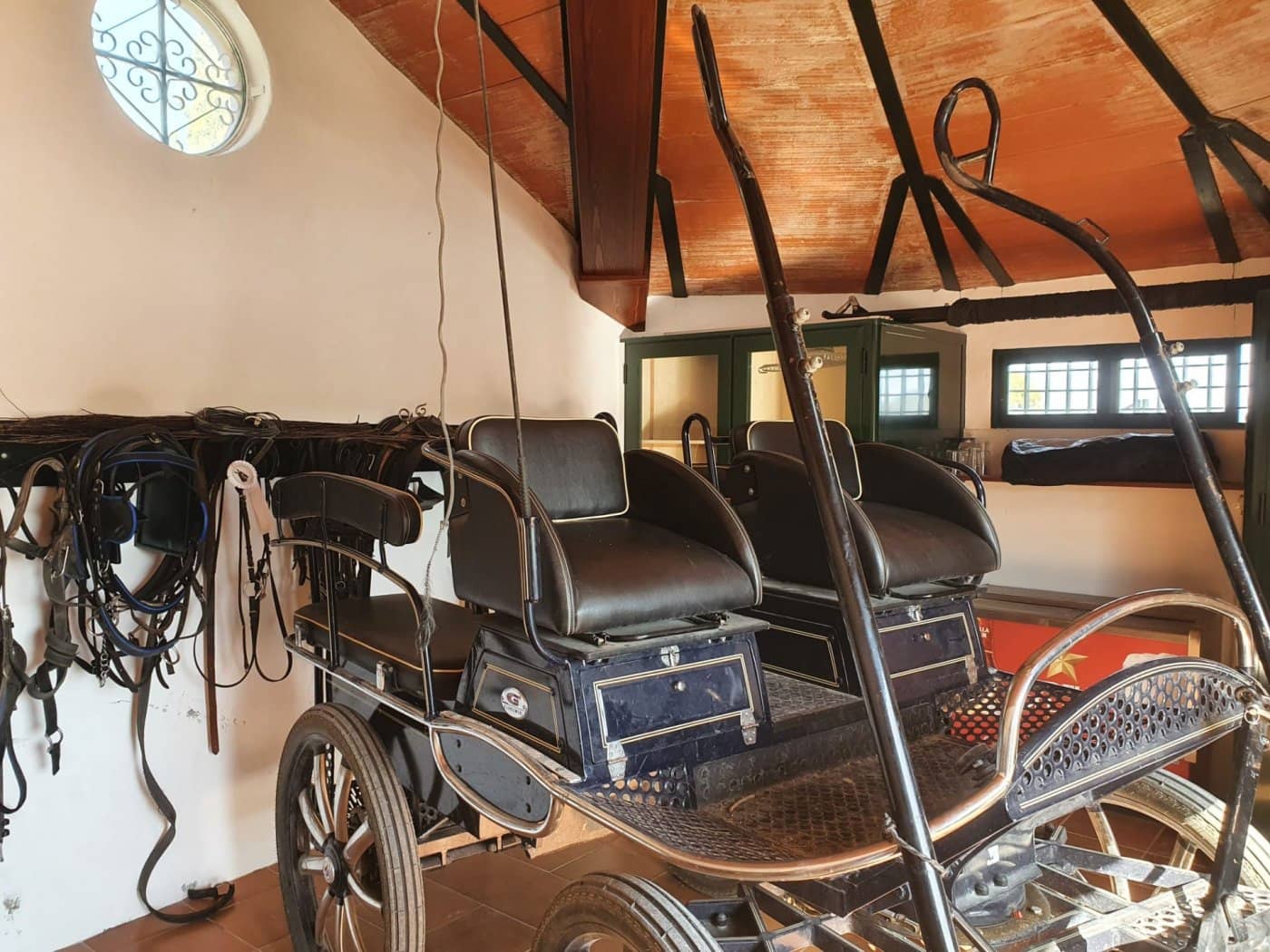 4 camera da letto Finca/Casa di Campagna in vendita in Arcos de la Frontera con piscina - 1.000.000 € (Rif: 9829515)