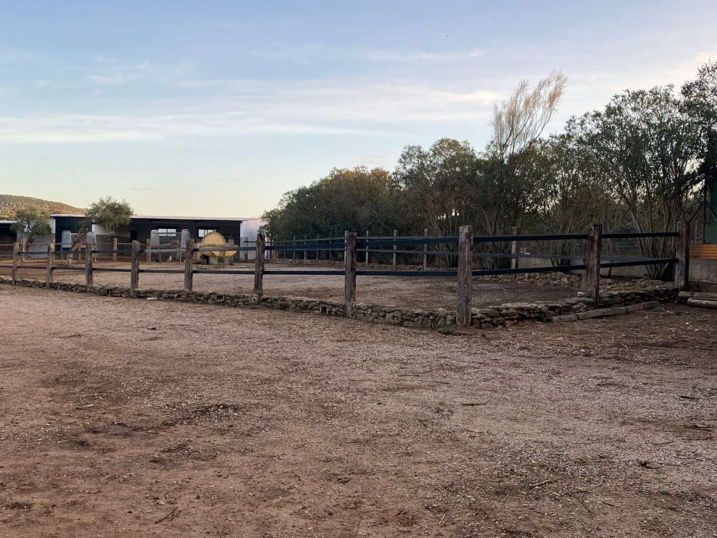 4 camera da letto Finca/Casa di Campagna in vendita in Arcos de la Frontera con piscina - 1.000.000 € (Rif: 9829515)