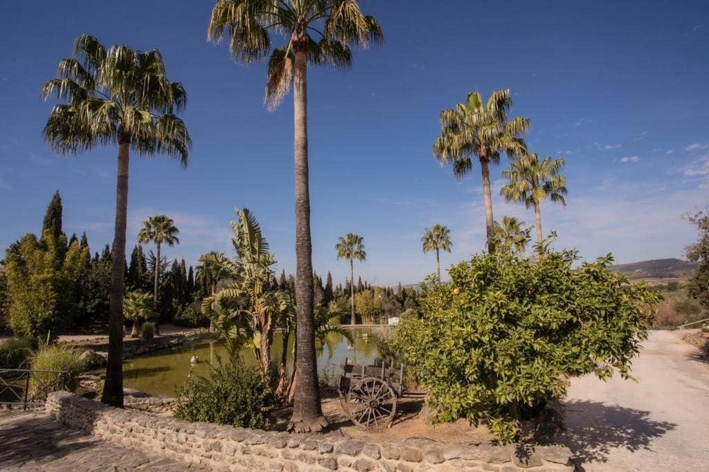 4 camera da letto Finca/Casa di Campagna in vendita in Arcos de la Frontera con piscina - 1.000.000 € (Rif: 9829515)
