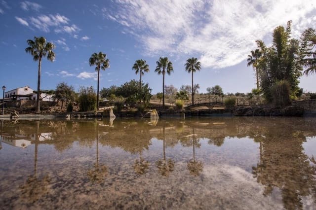 4 soverom Finca/Herregård til salgs i Arcos de la Frontera med svømmebasseng - € 1 000 000 (Ref: 9829515)