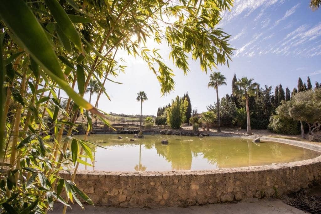 4 camera da letto Finca/Casa di Campagna in vendita in Arcos de la Frontera con piscina - 1.000.000 € (Rif: 9829515)