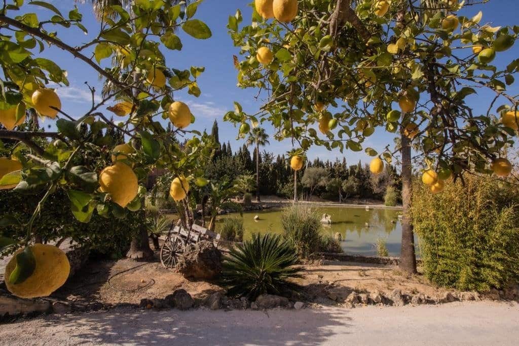 4 camera da letto Finca/Casa di Campagna in vendita in Arcos de la Frontera con piscina - 1.000.000 € (Rif: 9829515)