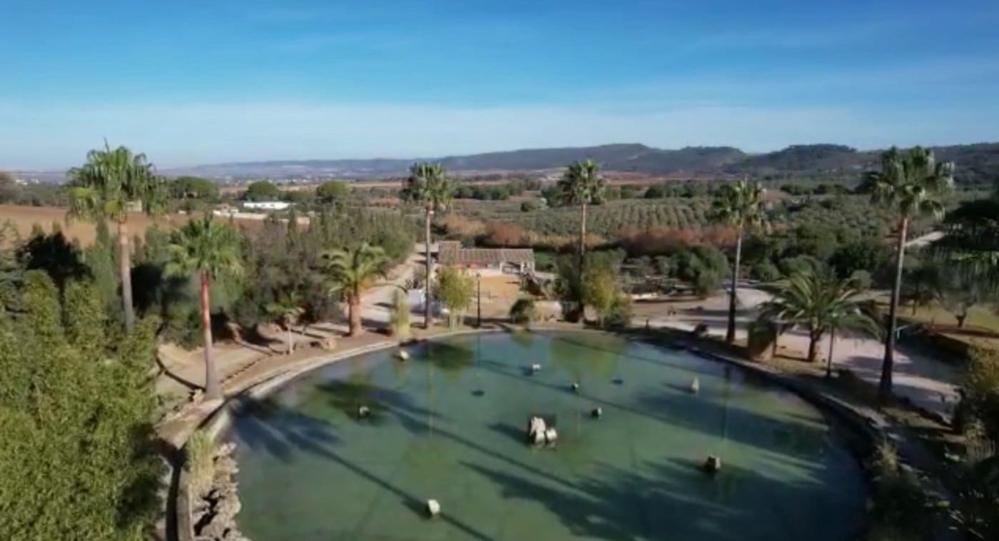 4 camera da letto Finca/Casa di Campagna in vendita in Arcos de la Frontera con piscina - 1.000.000 € (Rif: 9829515)