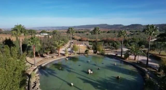 4 soverom Finca/Herregård til salgs i Arcos de la Frontera med svømmebasseng - € 1 000 000 (Ref: 9829515)