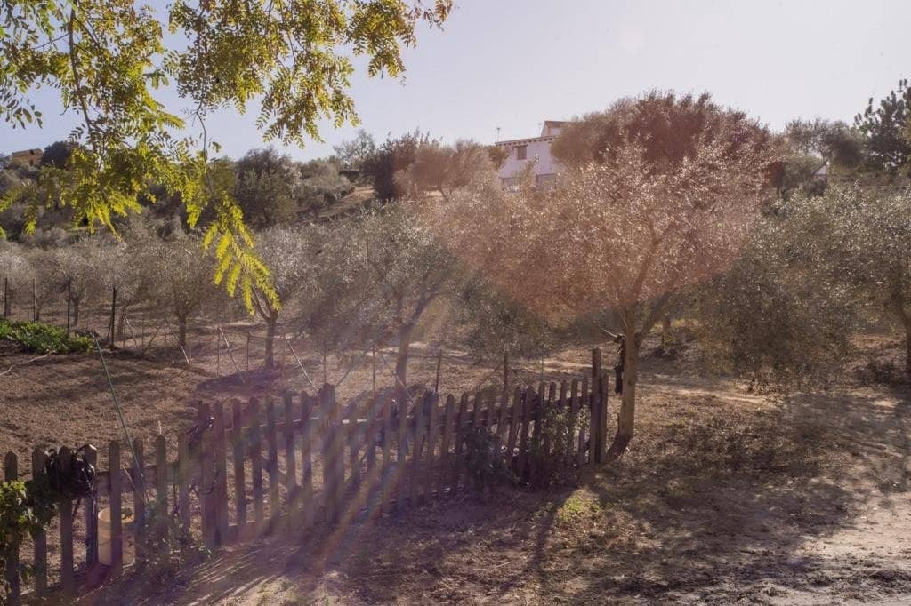 4 camera da letto Finca/Casa di Campagna in vendita in Arcos de la Frontera con piscina - 1.000.000 € (Rif: 9829515)