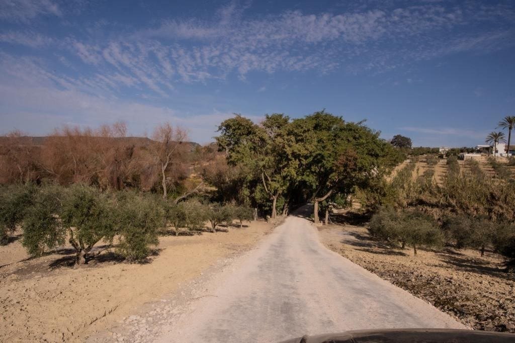 4 camera da letto Finca/Casa di Campagna in vendita in Arcos de la Frontera con piscina - 1.000.000 € (Rif: 9829515)