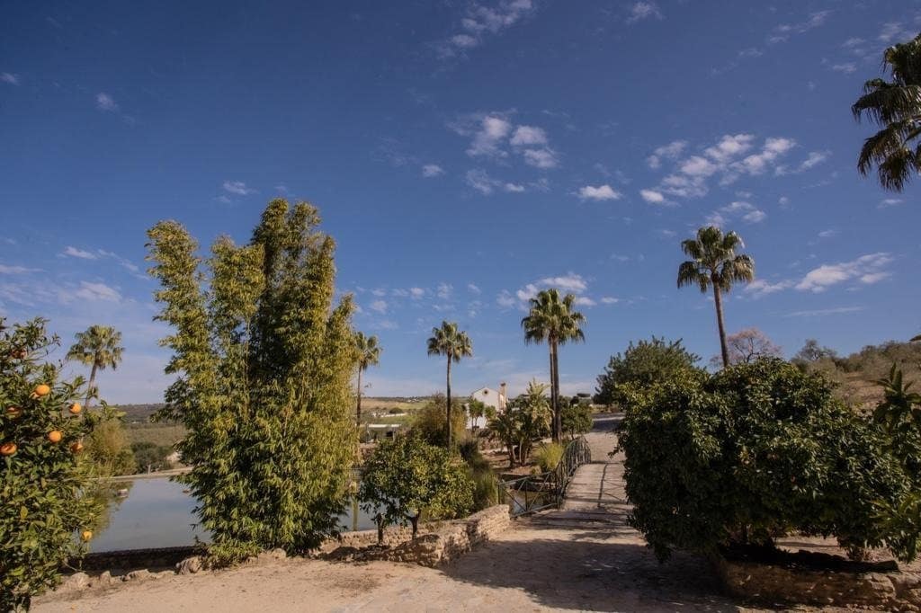 4 camera da letto Finca/Casa di Campagna in vendita in Arcos de la Frontera con piscina - 1.000.000 € (Rif: 9829515)