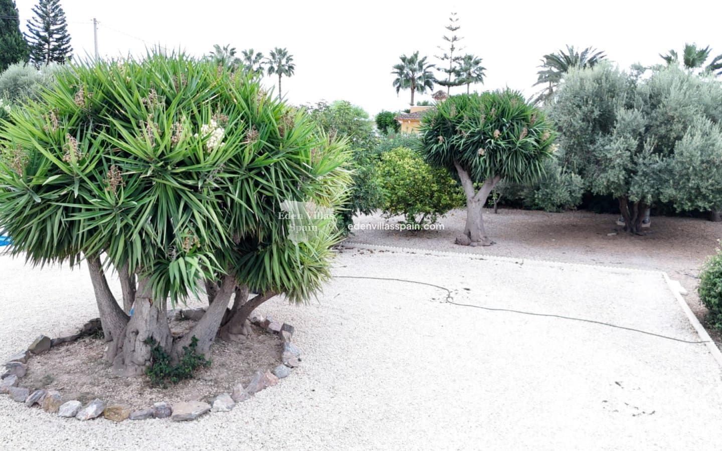 Finca/Casa Rural de 3 habitaciones en Catral en venta con piscina garaje - 420.000 € (Ref: 10127275)