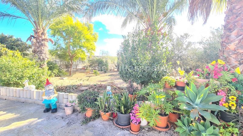 5 sypialnia Finka/Dom wiejski na sprzedaż w Catral z basenem garażem - 365 000 € (Ref: 7970949)